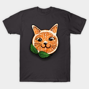 Orange kittysicle T-Shirt